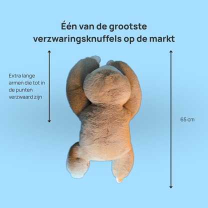 Knuggy Luiaard Verzwaringsknuffel 2kg